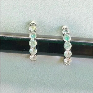 Elegant Silver Crystal Hoop Huggie Earrings NWT